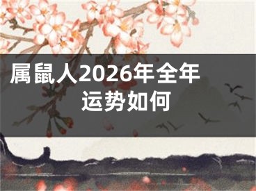 属鼠人2026年全年运势如何