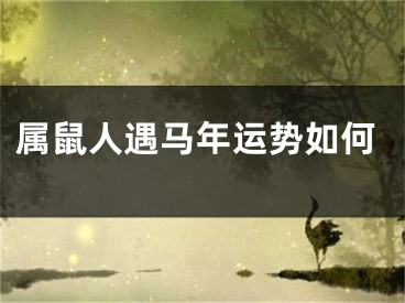 属鼠人遇马年运势如何