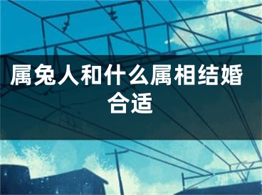 属兔人和什么属相结婚合适