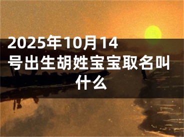 2025年10月14号出生胡姓宝宝取名叫什么