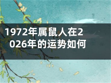 1972年属鼠人在2026年的运势如何