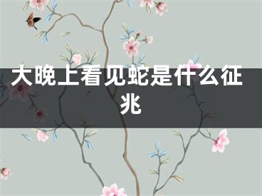 大晚上看见蛇是什么征兆