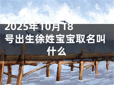 2025年10月18号出生徐姓宝宝取名叫什么
