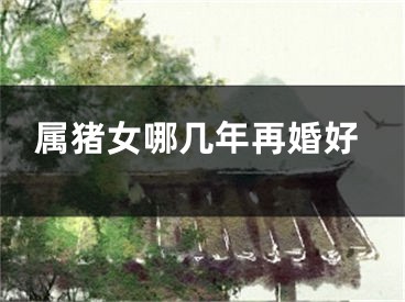 属猪女哪几年再婚好