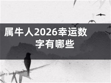 属牛人2026幸运数字有哪些