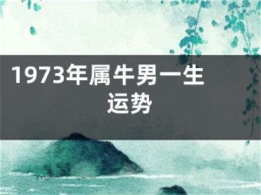 1973年属牛男一生运势