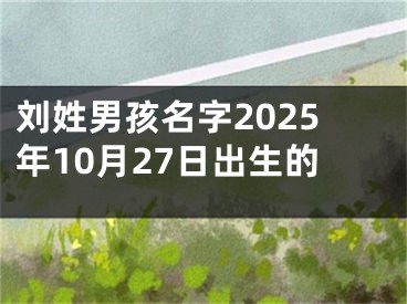 刘姓男孩名字2025年10月27日出生的