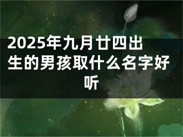2025年九月廿四出生的男孩取什么名字好听