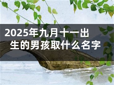 2025年九月十一出生的男孩取什么名字