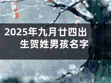 2025年九月廿四出生贺姓男孩名字