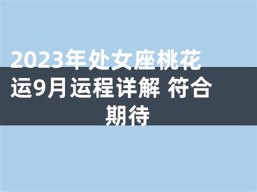 2023年处女座桃花运9月运程详解 符合期待