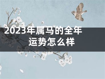 2023年属马的全年运势怎么样