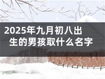 2025年九月初八出生的男孩取什么名字