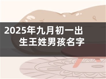 2025年九月初一出生王姓男孩名字