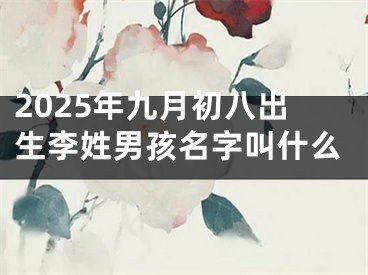 2025年九月初八出生李姓男孩名字叫什么