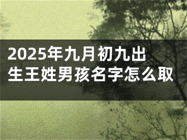 2025年九月初九出生王姓男孩名字怎么取
