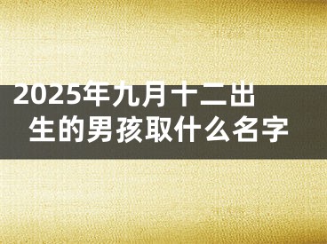 2025年九月十二出生的男孩取什么名字
