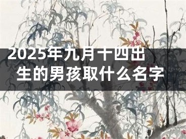 2025年九月十四出生的男孩取什么名字