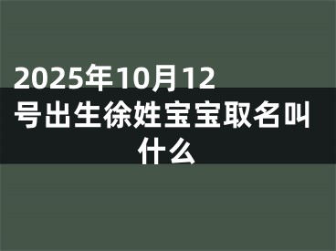 2025年10月12号出生徐姓宝宝取名叫什么