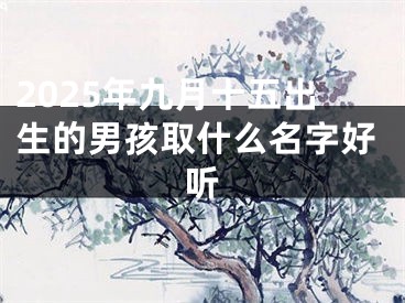 2025年九月十五出生的男孩取什么名字好听