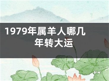 1979年属羊人哪几年转大运