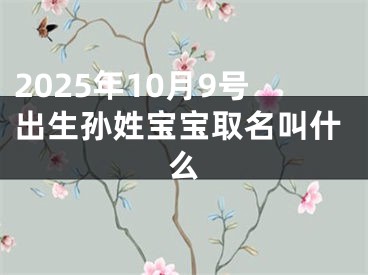 2025年10月9号出生孙姓宝宝取名叫什么