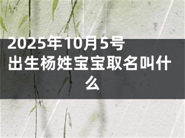 2025年10月5号出生杨姓宝宝取名叫什么