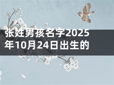 张姓男孩名字2025年10月24日出生的