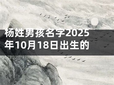 杨姓男孩名字2025年10月18日出生的