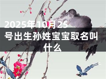 2025年10月25号出生孙姓宝宝取名叫什么