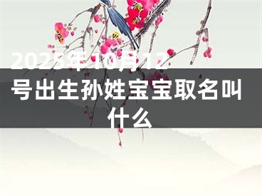 2025年10月12号出生孙姓宝宝取名叫什么