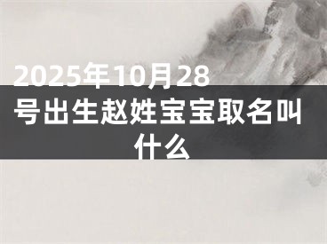 2025年10月28号出生赵姓宝宝取名叫什么