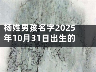 杨姓男孩名字2025年10月31日出生的