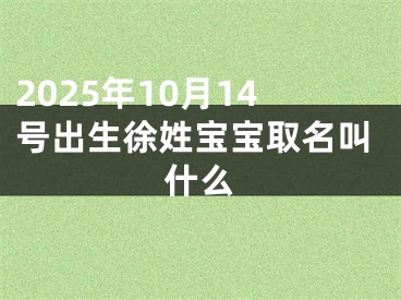 2025年10月14号出生徐姓宝宝取名叫什么