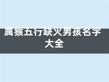 属猴五行缺火男孩名字大全