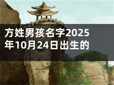 方姓男孩名字2025年10月24日出生的