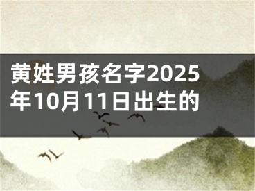 黄姓男孩名字2025年10月11日出生的