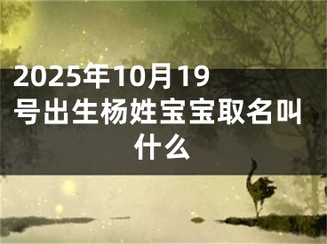 2025年10月19号出生杨姓宝宝取名叫什么