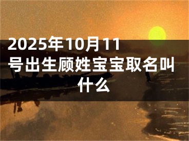 2025年10月11号出生顾姓宝宝取名叫什么