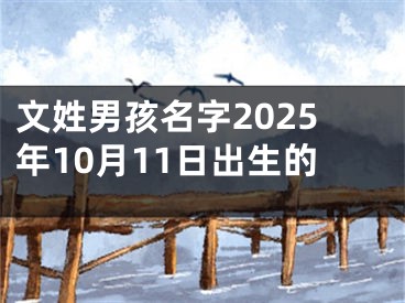 文姓男孩名字2025年10月11日出生的