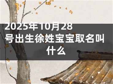 2025年10月28号出生徐姓宝宝取名叫什么