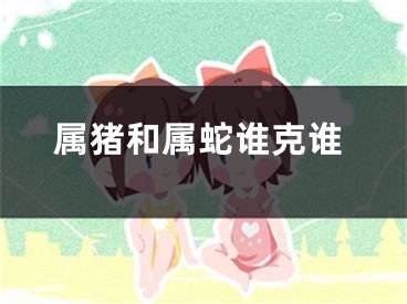 属猪和属蛇谁克谁