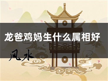 龙爸鸡妈生什么属相好