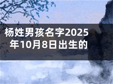 杨姓男孩名字2025年10月8日出生的