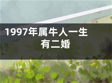 1997年属牛人一生有二婚
