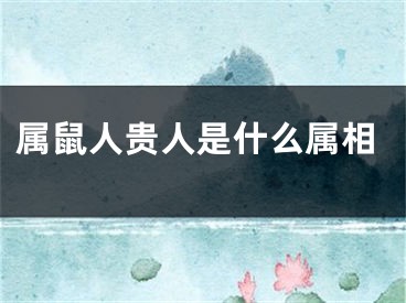 属鼠人贵人是什么属相