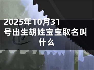 2025年10月31号出生胡姓宝宝取名叫什么