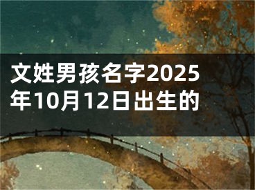 文姓男孩名字2025年10月12日出生的