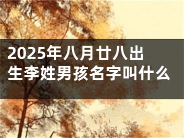2025年八月廿八出生李姓男孩名字叫什么