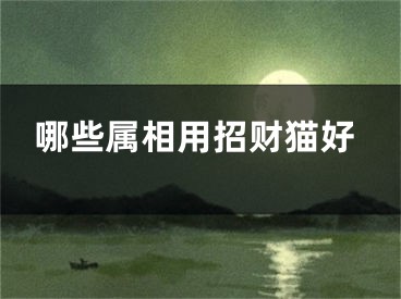 哪些属相用招财猫好